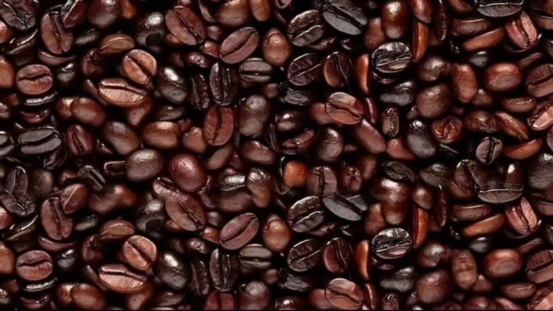 illusion optique visage grains de cafe