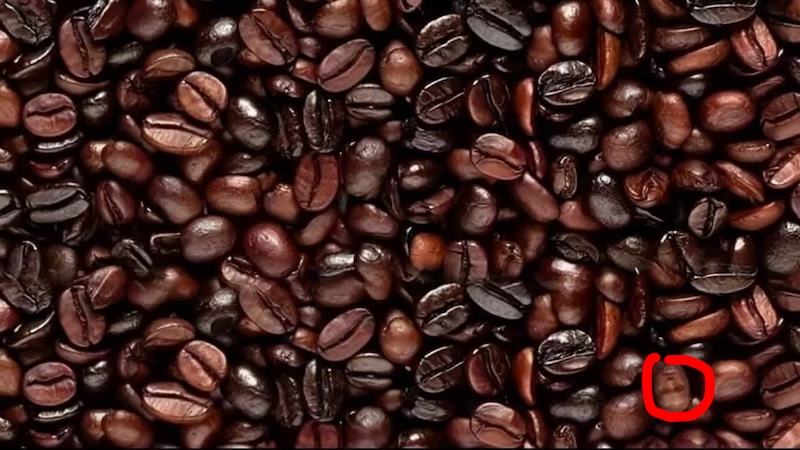 solution illusion optique visage grains de cafe