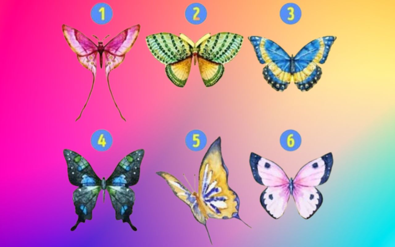 test personnalite papillon