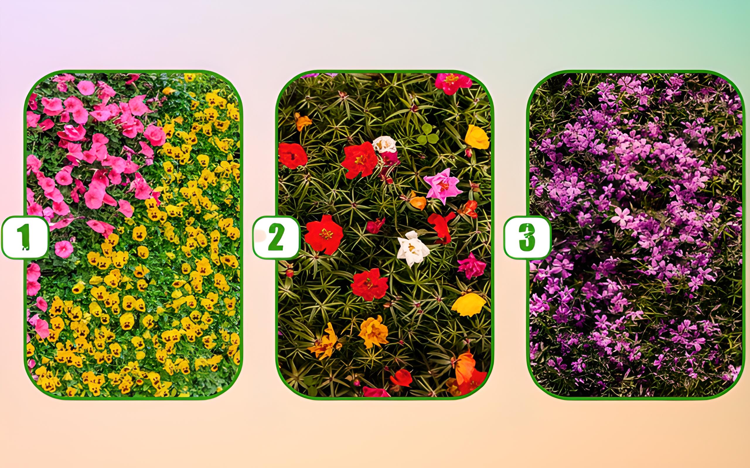 test personnalite quel parterre fleuri choisir