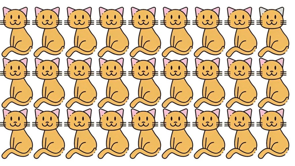 defi visuel trouver chat different