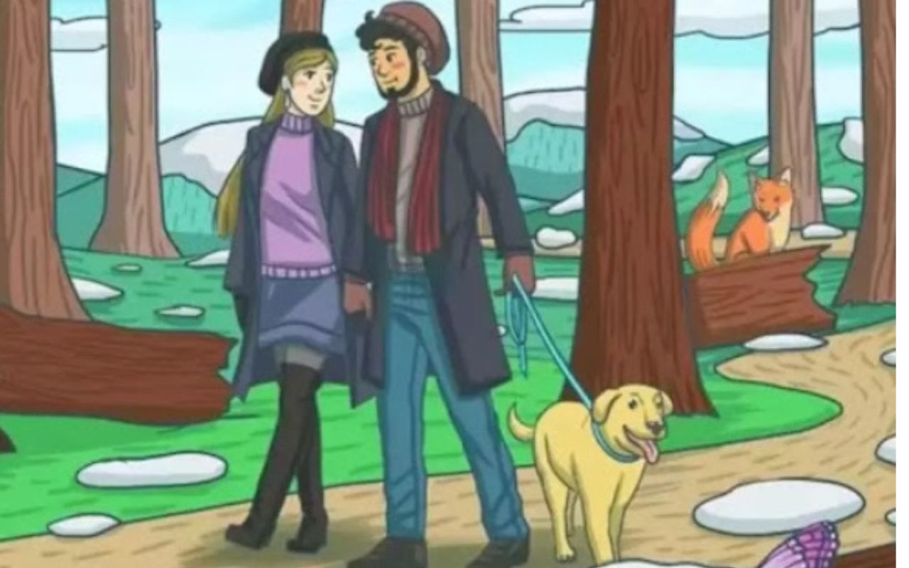 illusion optique trouver le lapin dans la foret