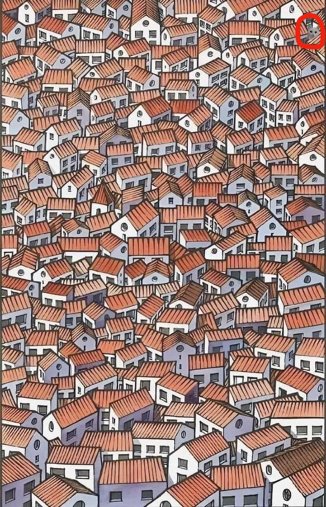 solution ou se cache le chat parmi les maisons
