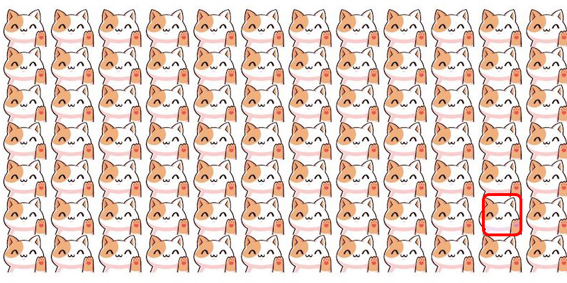 solution trouver le chat different