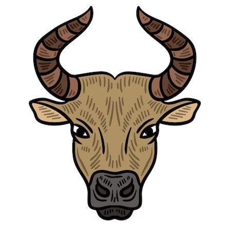 taureau