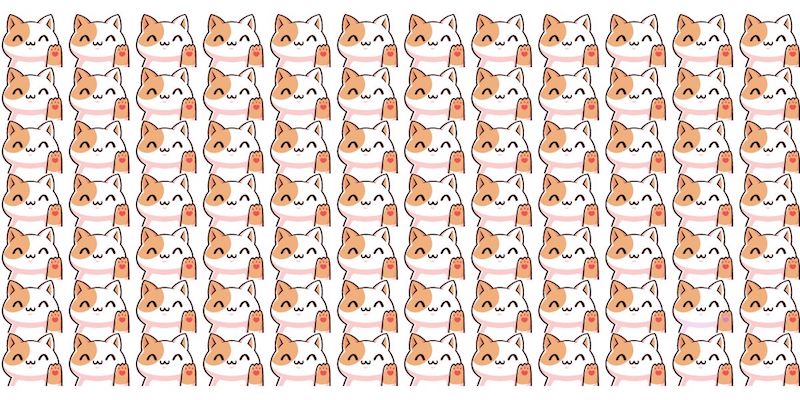 trouver le chat différent